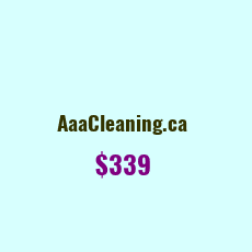 Domain Name: AaaCleaning.ca For Sale: $599