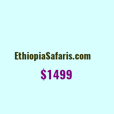 Domain Name: EthiopiaSafaris.com For Sale: $3999
