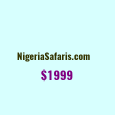 Domain Name: NigeriaSafaris.com For Sale: $3999