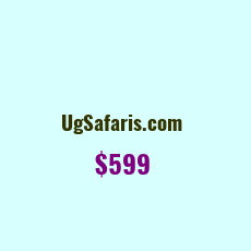 Domain Name: UgSafaris.com For Sale: $499